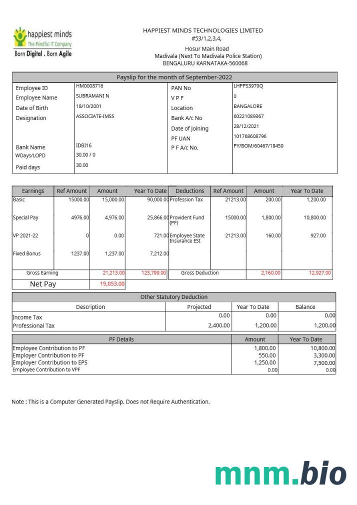 Happiest Minds Technologies payslip szablon w formatach Word i PDF
